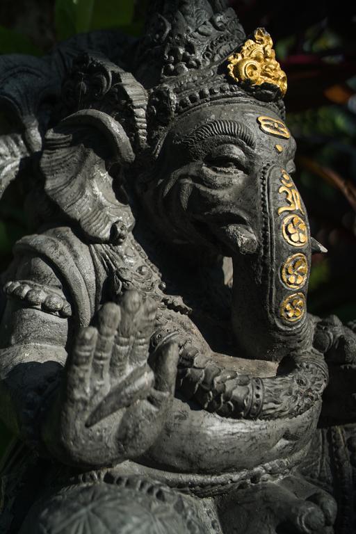Villa Daksina Ubud Rom bilde